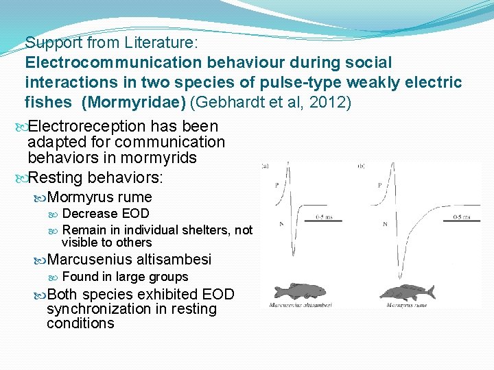 Support from Literature: Electrocommunication behaviour during social interactions in two species of pulse-type weakly
