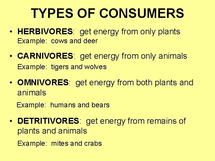 TYPES OF CONSUMERS • HERBIVORES: get energy from only plants Example: cows and deer