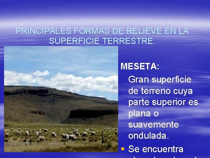 PRINCIPALES FORMAS DE RELIEVE EN LA SUPERFICIE TERRESTRE. MESETA: Gran superficie de terreno cuya
