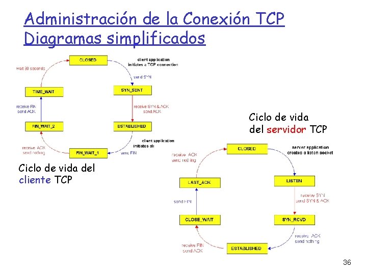 Administración de la Conexión TCP Diagramas simplificados Ciclo de vida del servidor TCP Ciclo