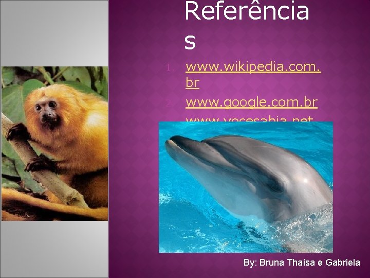 Referência s 1. 2. 3. www. wikipedia. com. br www. google. com. br www.