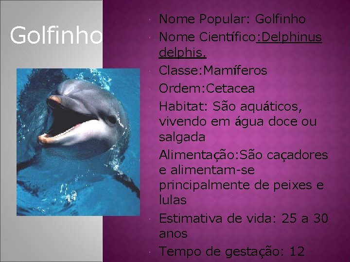 Golfinho Nome Popular: Golfinho Nome Científico: Delphinus delphis. Classe: Mamíferos Ordem: Cetacea Habitat: São