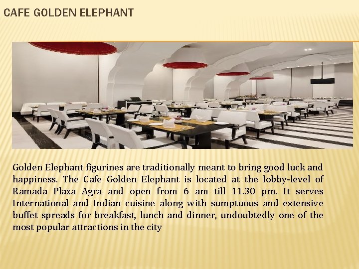 CAFE GOLDEN ELEPHANT Golden Elephant figurines are traditionally meant to bring good luck and
