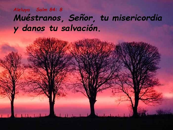 Aleluya Salm 84: 8 Muéstranos, Señor, tu misericordia y danos tu salvación. 