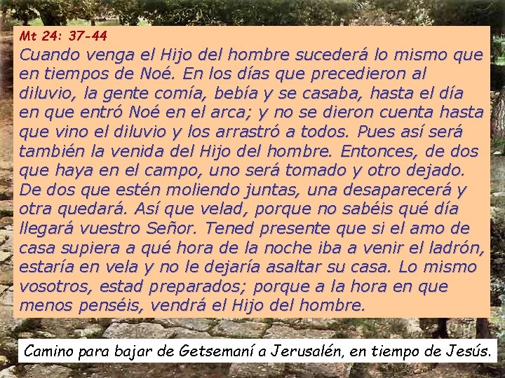 Mt 24: 37 -44 Cuando venga el Hijo del hombre sucederá lo mismo que