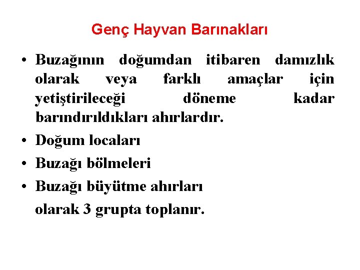 Genç Hayvan Barınakları • Buzağının doğumdan itibaren damızlık olarak veya farklı amaçlar için yetiştirileceği