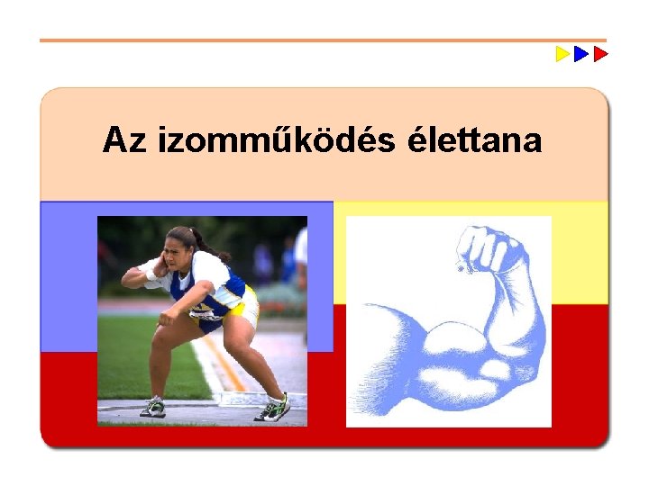 Az izomműködés élettana 