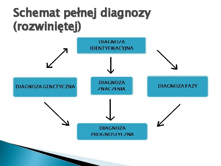 Schemat pełnej diagnozy (rozwiniętej) 