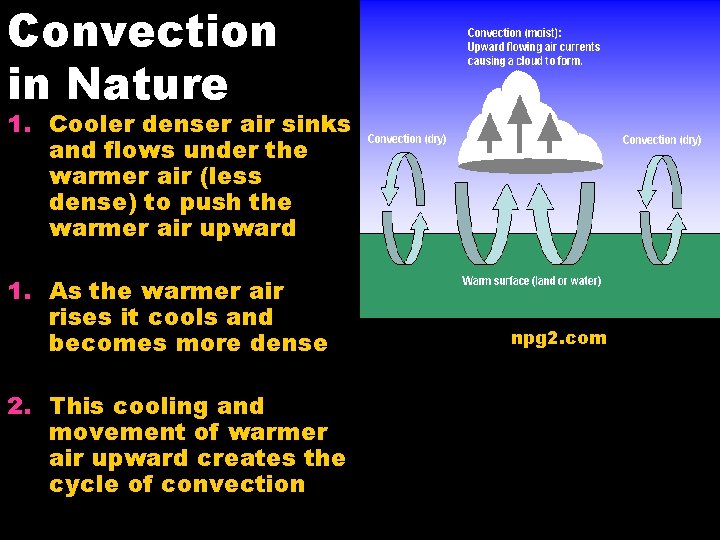 Convection in Nature 1. Cooler denser air sinks and flows under the warmer air