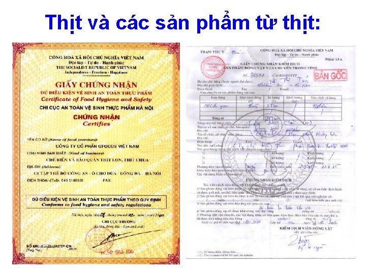 Thịt và các sản phẩm từ thịt: 