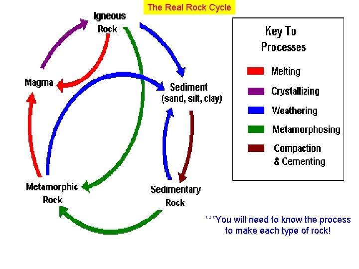 The Real Rock Cycle ***You will need to know the process to make each The Real Rock Cycle ***You will need to know the process to make each
