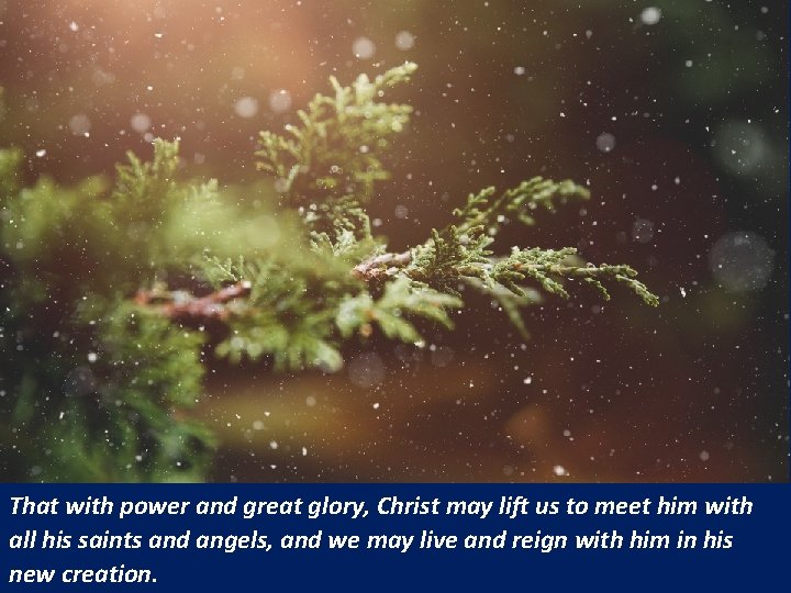 That with power and great glory, Christ may lift us to meet him with