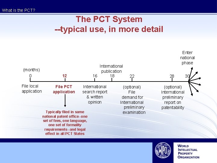 Pct Process System Developing an International IP Perspective The Strategic Use