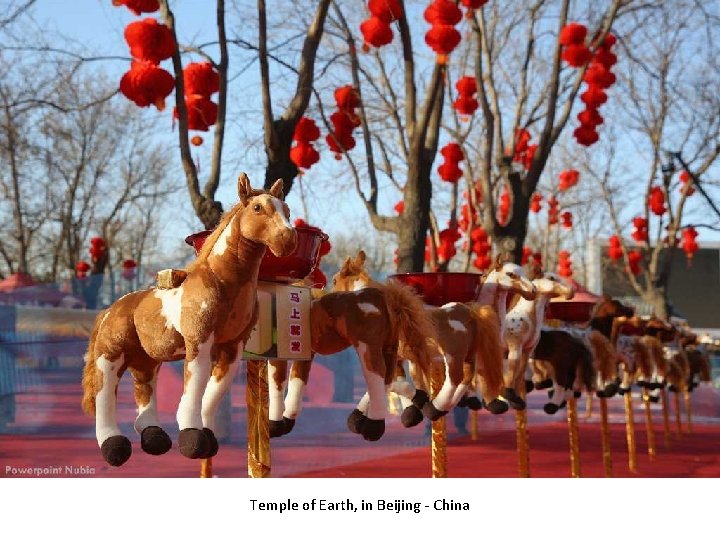 Temple of Earth, in Beijing - China 