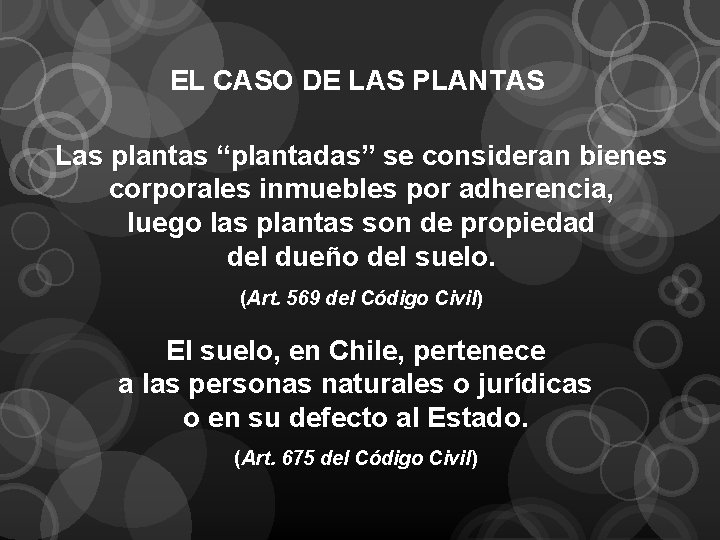 EL CASO DE LAS PLANTAS Las plantas “plantadas” se consideran bienes corporales inmuebles por