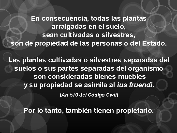 En consecuencia, todas las plantas arraigadas en el suelo, sean cultivadas o silvestres, son