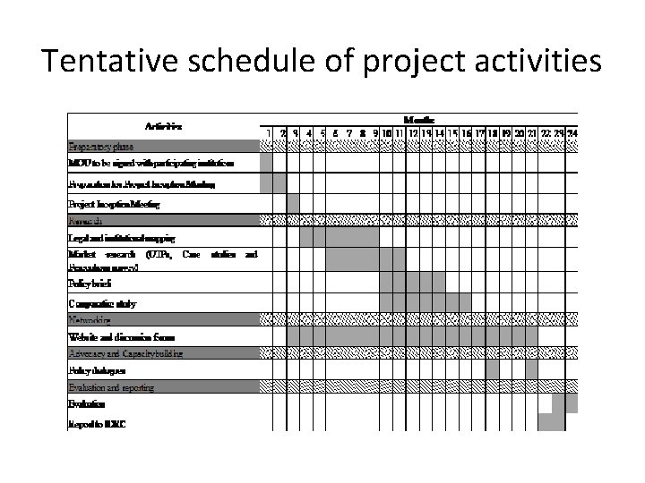 Tentative schedule of project activities 