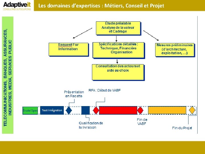 Les domaines d’expertises : Métiers, Conseil et Projet 