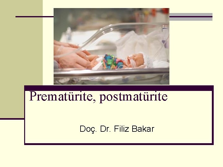 Prematürite, postmatürite Doç. Dr. Filiz Bakar 