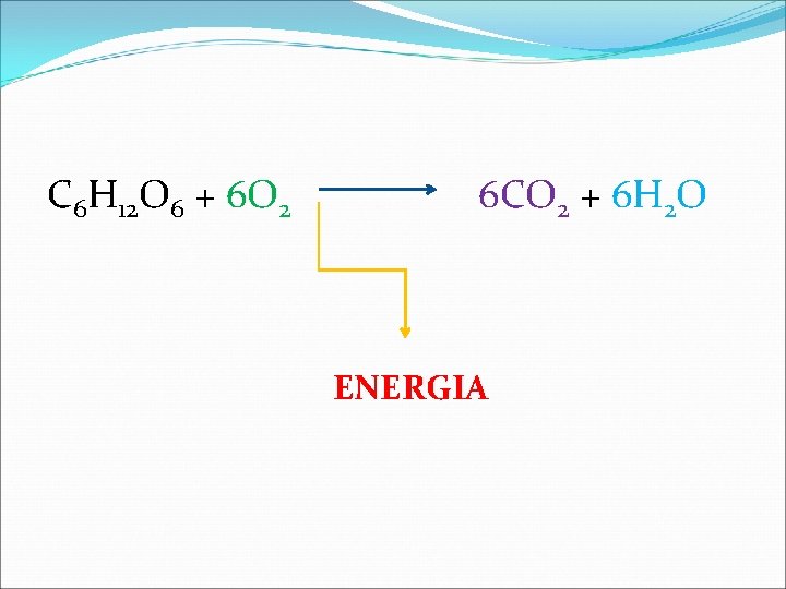 C 6 H 12 O 6 + 6 O 2 6 CO 2 +