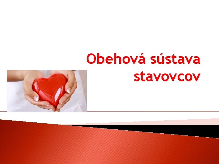 Obehová sústava stavovcov 