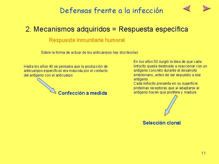 Defensas frente a la infección 2. Mecanismos adquiridos = Respuesta específica Respuesta inmunitaria humoral