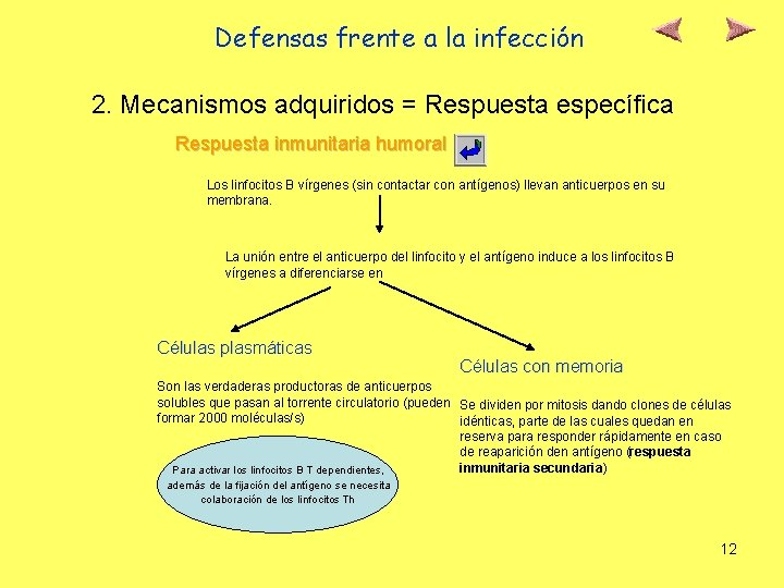 Defensas frente a la infección 2. Mecanismos adquiridos = Respuesta específica Respuesta inmunitaria humoral