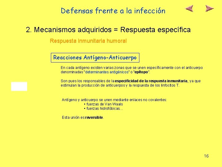 Defensas frente a la infección 2. Mecanismos adquiridos = Respuesta específica Respuesta inmunitaria humoral