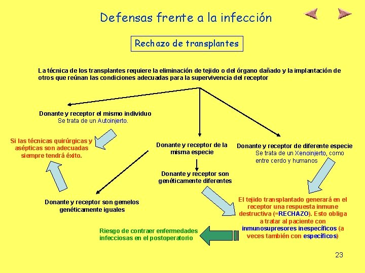 Defensas frente a la infección Rechazo de transplantes La técnica de los transplantes requiere