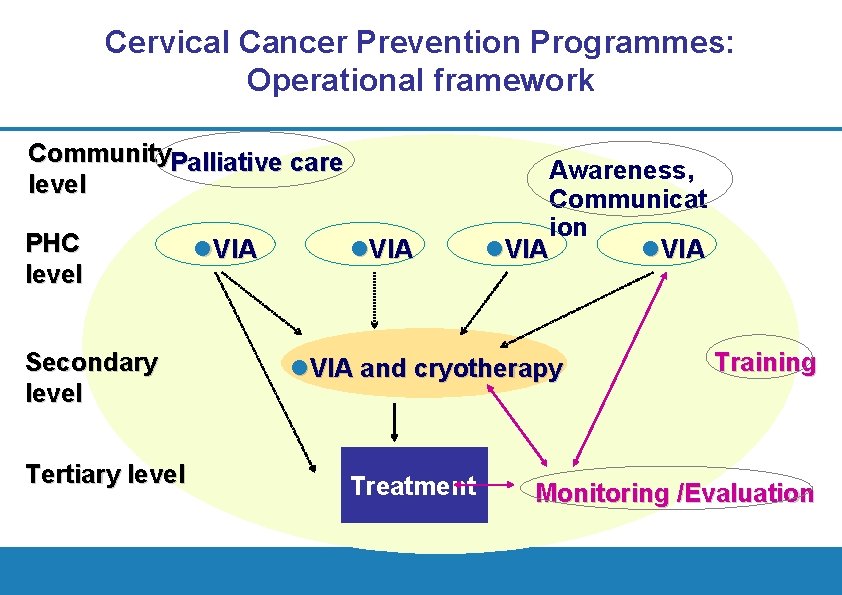 Cervical Cancer Prevention Programmes: Operational framework Community. Palliative care level PHC level Secondary level