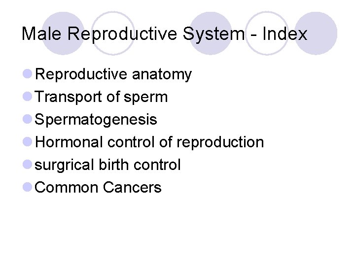 Male Reproductive System - Index l Reproductive anatomy l Transport of sperm l Spermatogenesis