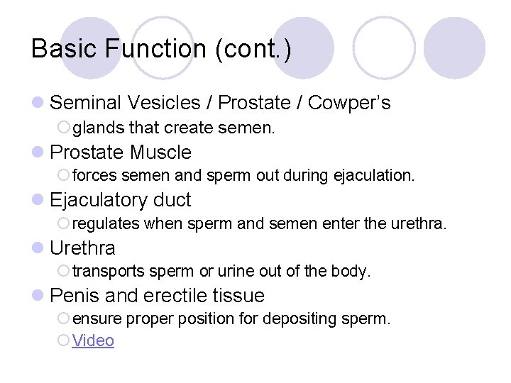 Basic Function (cont. ) l Seminal Vesicles / Prostate / Cowper’s ¡glands that create