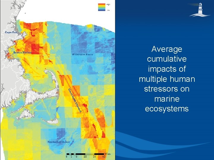 Average cumulative impacts of multiple human stressors on marine ecosystems 