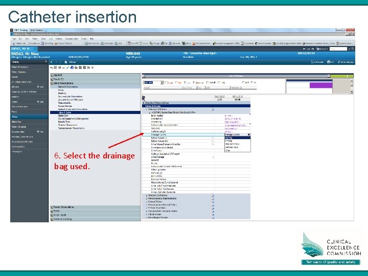 Catheter insertion 6. Select the drainage bag used. 