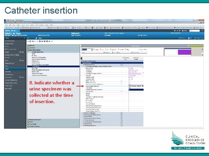 Catheter insertion 8. Indicate whether a urine specimen was collected at the time of