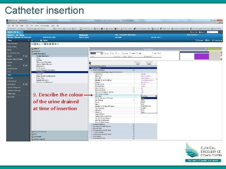 Catheter insertion 9. Describe the colour of the urine drained at time of insertion