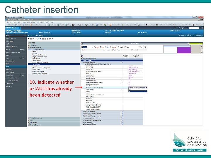 Catheter insertion 10. Indicate whether a CAUTI has already been detected 