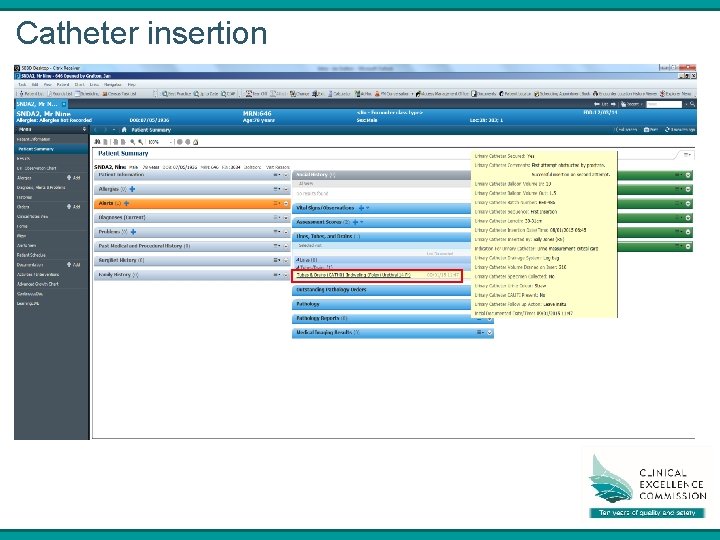 Catheter insertion 