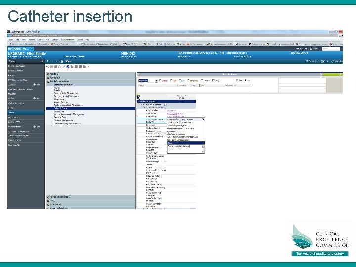 Catheter insertion 