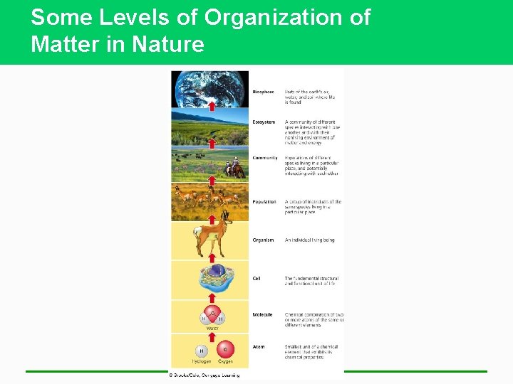 Some Levels of Organization of Matter in Nature 