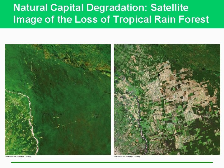 Natural Capital Degradation: Satellite Image of the Loss of Tropical Rain Forest 