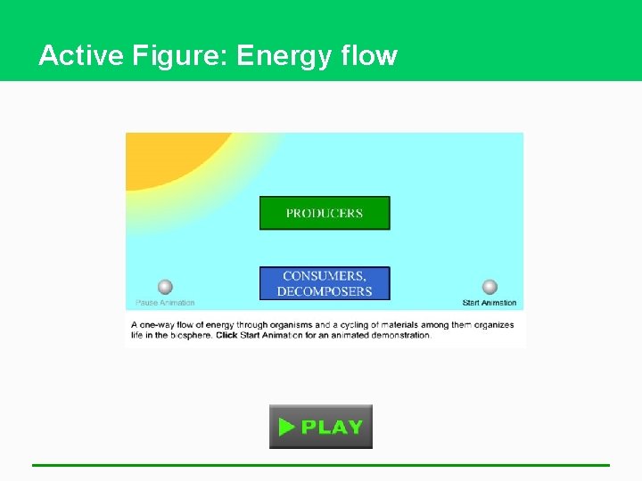 Active Figure: Energy flow 