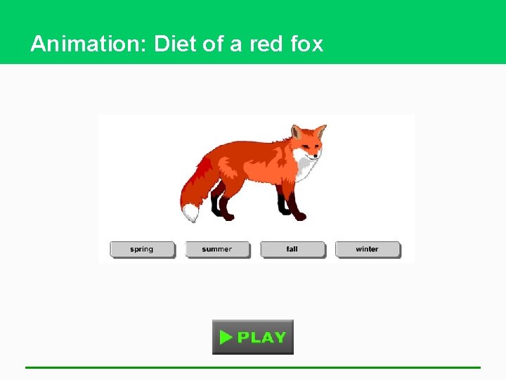 Animation: Diet of a red fox 