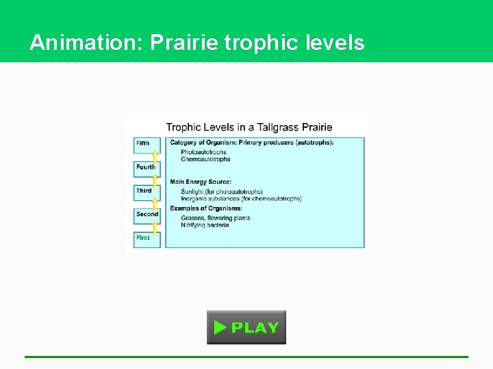 Animation: Prairie trophic levels 