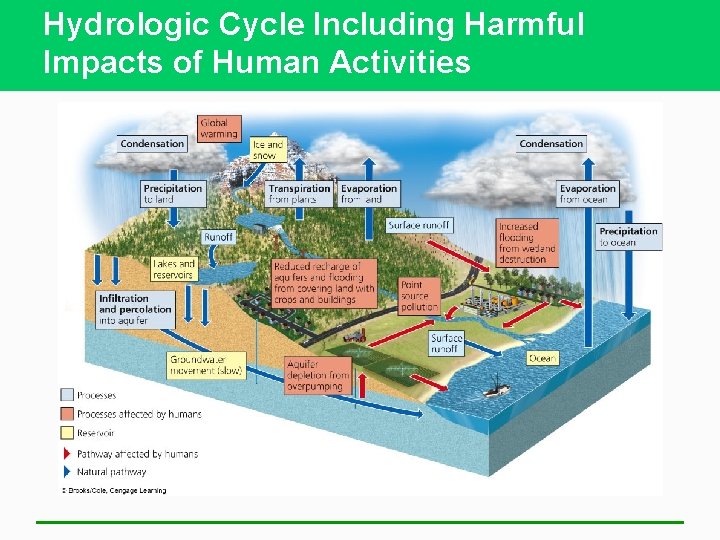 Hydrologic Cycle Including Harmful Impacts of Human Activities 