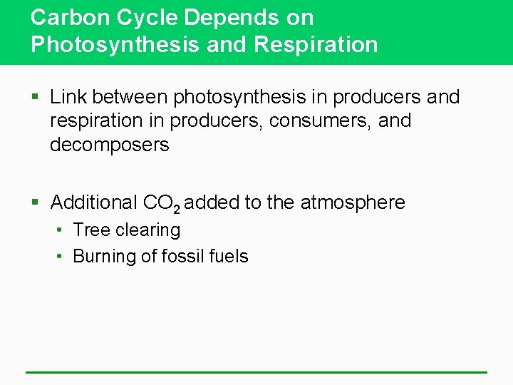 Carbon Cycle Depends on Photosynthesis and Respiration § Link between photosynthesis in producers and