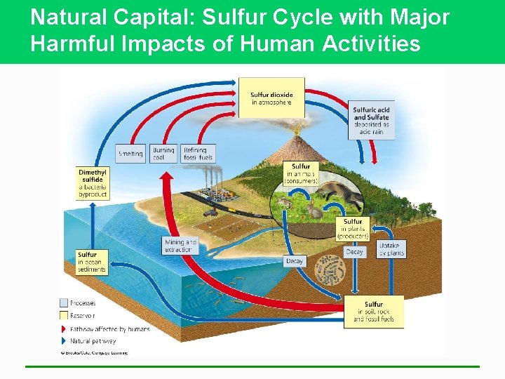 Natural Capital: Sulfur Cycle with Major Harmful Impacts of Human Activities 