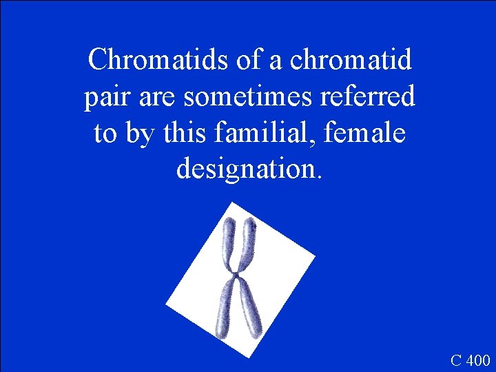 Chromatids of a chromatid pair are sometimes referred to by this familial, female designation.