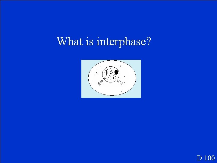 What is interphase? D 100 