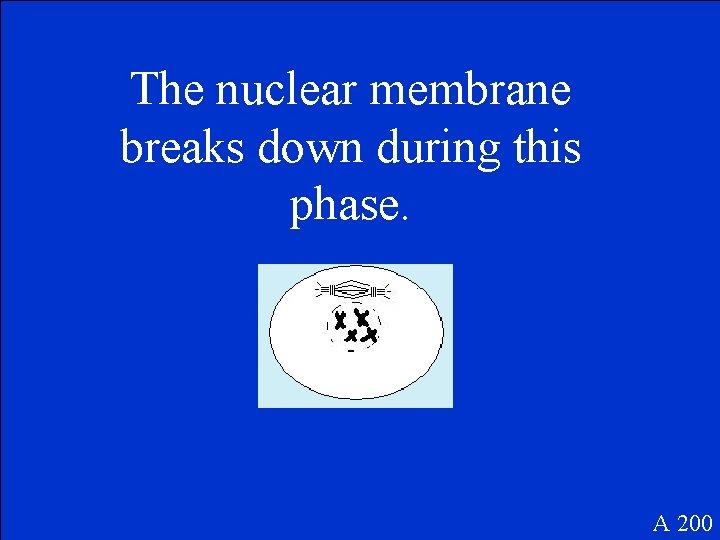 The nuclear membrane breaks down during this phase. A 200 